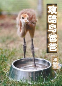 攻略鳥爸爸